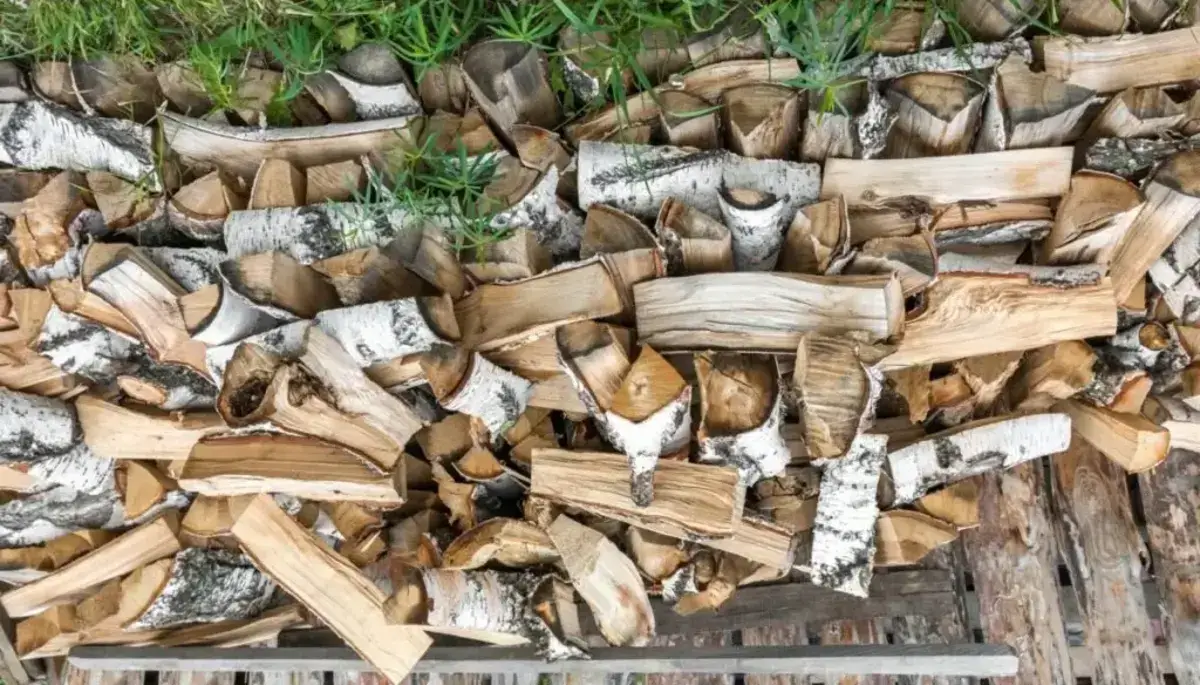 free-firewood-near-me