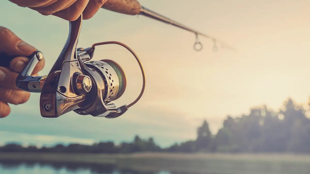 21 Ways To Get Free Fishing Gear (2024) - DollarSlate